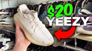 YEEZY 350s for $20 At The THRIFT? $20 SNEAKER Collection (Ep 5.)