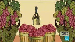 Once upon a vine: a short history of champagne