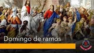 Domingo de ramos, Ejercito de salvación san cristobal sur