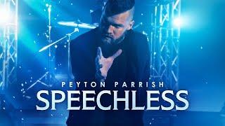 Speechless - Aladdin & Naomi Scott  (Disney Goes Rock) Peyton Parrish Cover