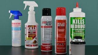 Professional Bed Bug Kit Review