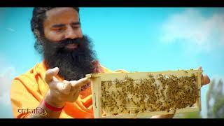 Pure and Natural Honey | Patanjali Honey