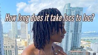 How long does it take for locs to lock? | How long will my hair take to loc? 