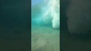 #viralvideo #shorts #ocean