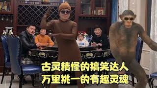 东方不败：古灵精怪的搞笑达人，万里挑一的有趣灵魂，真逗