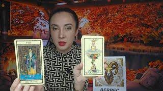 WEDNESDAY ‍️ NOVEMBER 20  DAILY HOROSCOPE TAROT ON THE SIGNS ️️️️️️️️️️️️