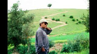 Abbas Kiarostami-Zeytin Ağaçları Altında