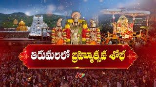 Tirumala Brahmotsavam 2024 | Special Updates | Ntv