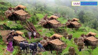 Himalayan Village Life Nepal|Dolpa|Shephard Life Daly Activities Nepali Himalayan Village Peoplelife