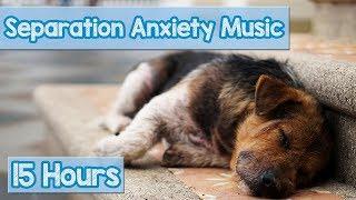 15 HOURS of Deep Separation Anxiety Music for Dog Relaxation! Helped 4 Million Dogs Worldwide! NEW!