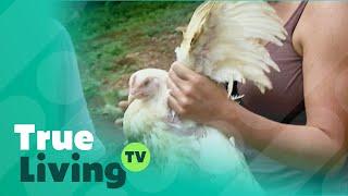 Unexpected Adventure for Unsuspecting Tourists | True Living TV