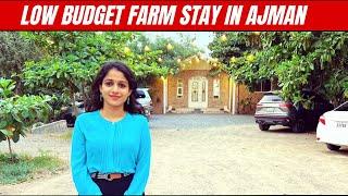 Rivaloo Farm Stay Ajman | Farm House Ajman UAE | Village Life | Low Budget Farm house in Dubai, UAE