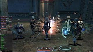 Lineage 2 - Elmorelab x1 C4 - Farming Sain'ts Necropolis With Melee Party