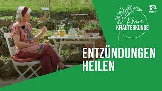 Pflanzen & Ernährung bei Entzündungen | Kleine Kräuterkunde