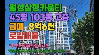 월성삼정카운티 103동 45평 고층 급매 로얄동 로얄층