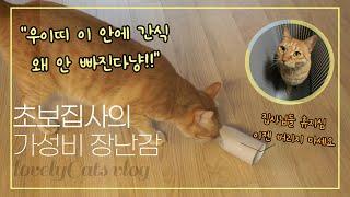 [하나네찌 남매냥 Vlog]고양이 휴지심 가지고 놀기. 바보에서 똑똑이가 될때까지.