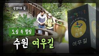 아나운서 김일중의 감성다큐 길 [ 도심 속 힐링 수원 여우길 ]