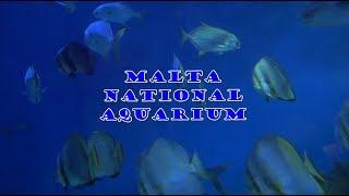 Malta National Aquarium