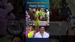 Hema & Krishna Bhagavan funny scene | #hema #krishnabhagavan #shorts #idreamclips