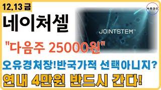  네이처셀 - 다음주 25000원 중요구간... 식약처승인 임박! 연내 4만원 반드시 갈 수 있을까!