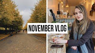 VISITING LONDON ZOO and JAMES's BIRTHDAY | NOVEMBER VLOG