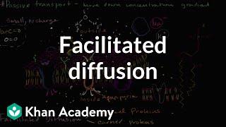 Facilitated diffusion | Membranes and transport | Biology | Khan Academy