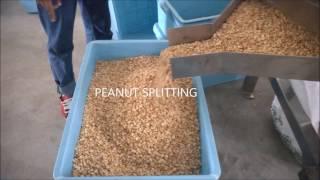 500 kgs/250kgs per hour peanut butter processing turnkey plant explain how peanut butter is made