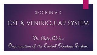 NEUROANATOMY PART 7 - VENTRICULAR SYSTEM & CEREBROSPINAL FLUID CIRCULATION