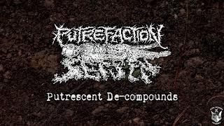 Putrefaction Sets In - Putrescent De-compounds [SINGLE] (2024 - Goregrind)