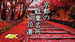 【4K 京都の紅葉30選】鮮やかな極上の名所