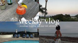 weekly vlog | family visit, pup pups, adventures