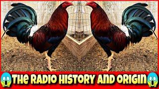 The radio chicken history and origin.