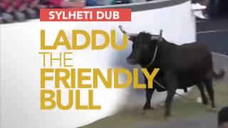 Laddu the Friendly Bull (Sylheti Dub)