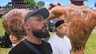 NZ toughest hoods - Whakatane "DUB HK TOWN"