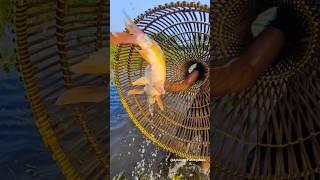 Amazing Fishing  Best Polo Jumping fishing #fish_video #fishing #fish