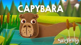 Capybara – Singsang – Lieder für Kinder