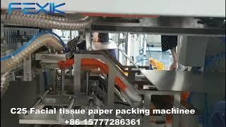 Automatic Facial Tissue Paper Packing Machine Manufacturer