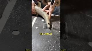 China Turns Cow Horns into Beautiful Combs 