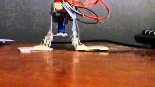 biped robot: derp o