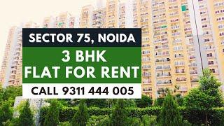 Flats for rent in Central Noida | 3 BHK Apartment for Rent in Noida