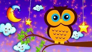 Mozart Baby Lullaby - Calming and Brain Development Music