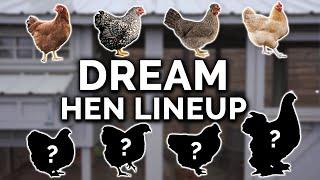 Best Chicken Breeds For Beginners (And My Flock Expansion!)