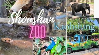 Shoushan Zoo Kaohsiung #kaohsiungtravel #kaohsiung #taiwan #shoushanzoo #zoo #taiwantravel