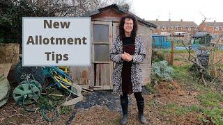 New Allotment Tips - Allotment Gardening For Beginners