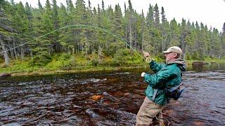 Steelhead & Salmon on a Fly - How To