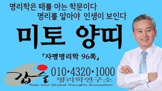 지지(미토未土)(자평명리학96쪽)-갑술명리학연구소-안태옥박사 #소서 #대서 #남남서 #이음사양 #삼복 #초복 #말복 #중복 #자오선 #미역성 #귀도 #경도 #양