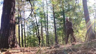 Tracker Knife Throwing Practice