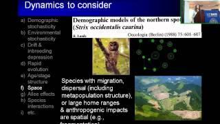 Considerations for Modeling the Dynamics of Small Populations