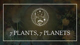 7 Plants, 7 Planets