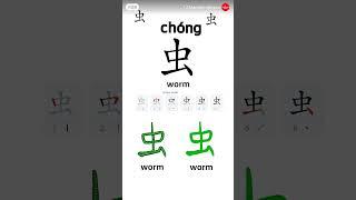 #chinese lesson 23 #meeting #chineselanguage #ytshorts #learnchinse #education #worm